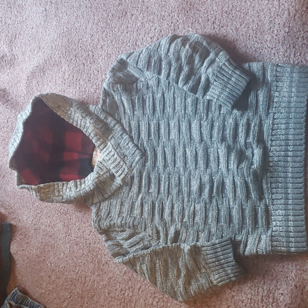 Boy Grey Hooded Sweater